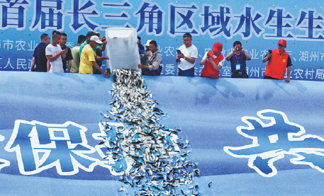 Yangtze conservation efforts bear fruit