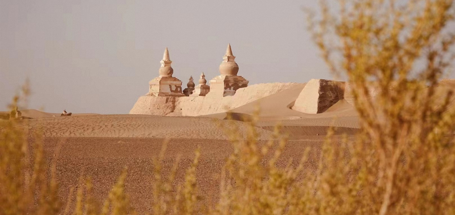 Window into Alshaa's desert tourism 