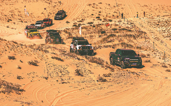 Alshaa holds high the desert tourism banner