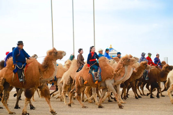 Camel beauty pageants, events wow visitors in Ejine Banner 