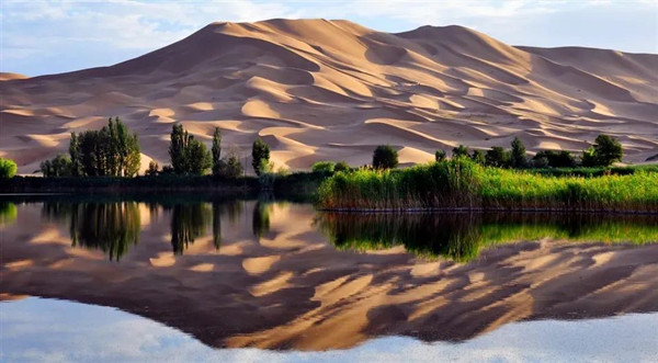 Alshaa desert adventure tour wins regional recognition 