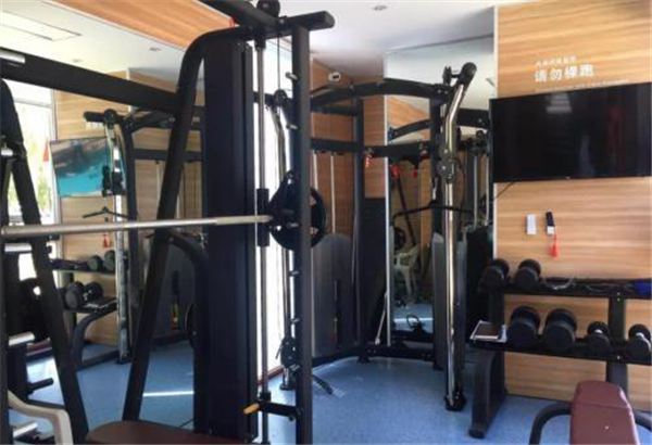The mini gyms are kitted out with multifunctional equipment.png
