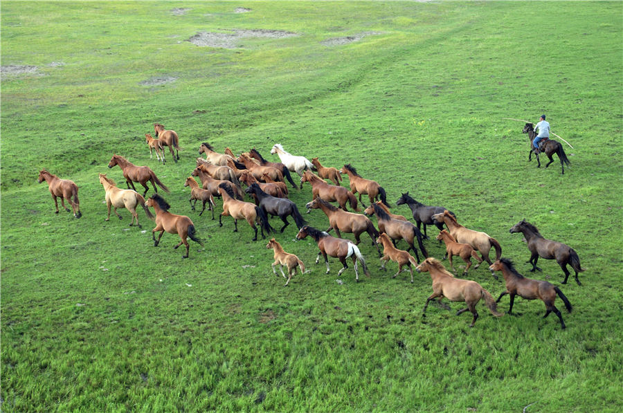 Beautiful grasslands enhance Hulunbuir, Inner Mongolia