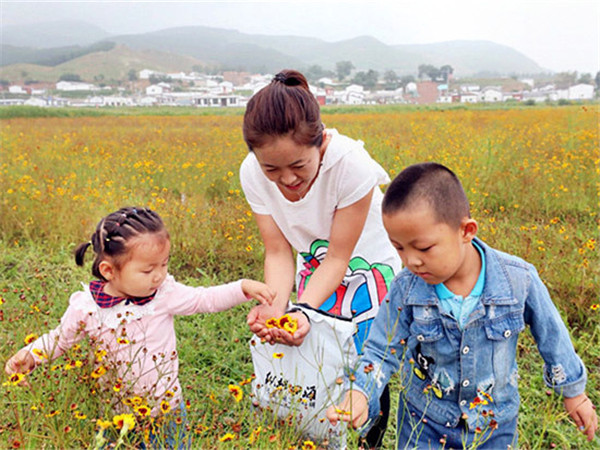 Visitors pick snow chrysanthemums at the festival held in Hohhot, Inner Mongolia autonomous region, Aug 12.jpg