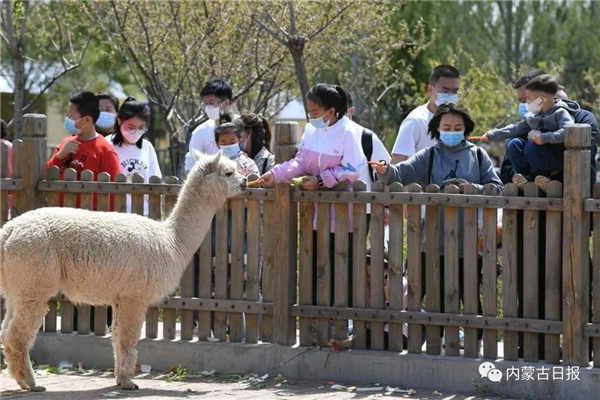 1654676390051058206.jpg 图片6.jpg