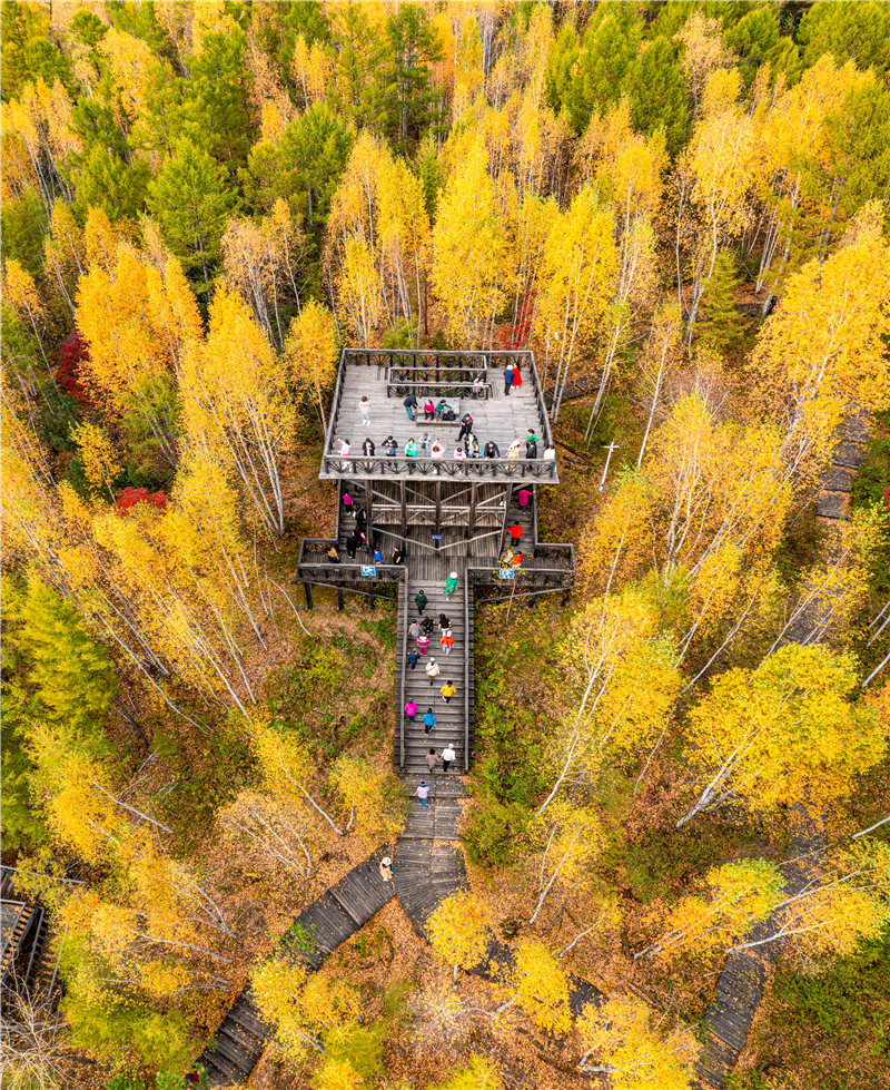 秋色观景台   拍摄于额尔古纳市莫尔道嘎国家森林公园 (4).jpg