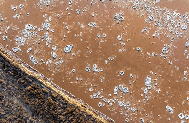 1764660880220030826.png 图片14.png