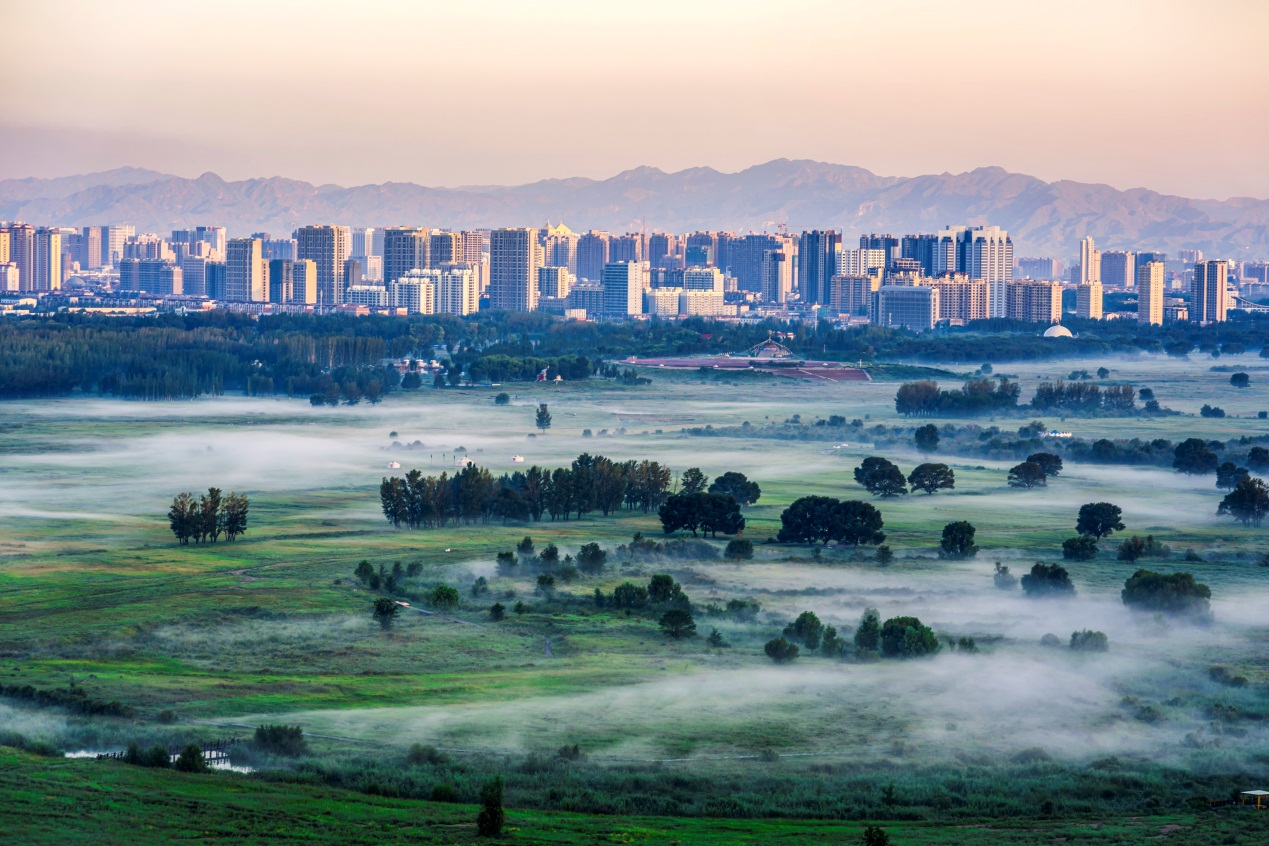 baotou 2_副本.jpg