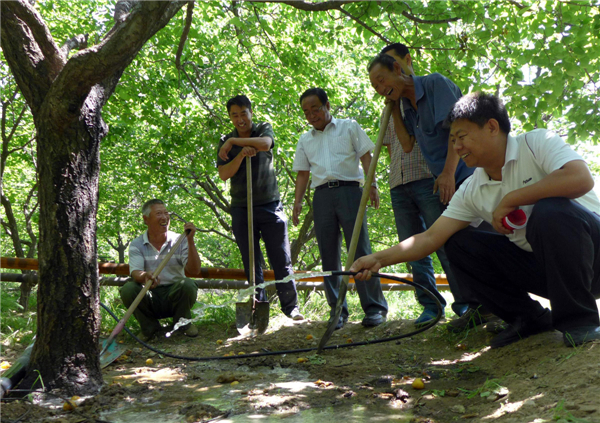 Government officials from the water conservancy bureau help farmers water trees in Tumd Right Banner, North China’s Inner Mongolia