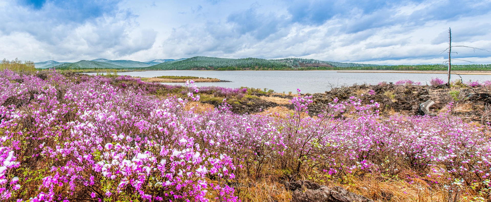 80 scenic spots in Inner Mongolia free of admission