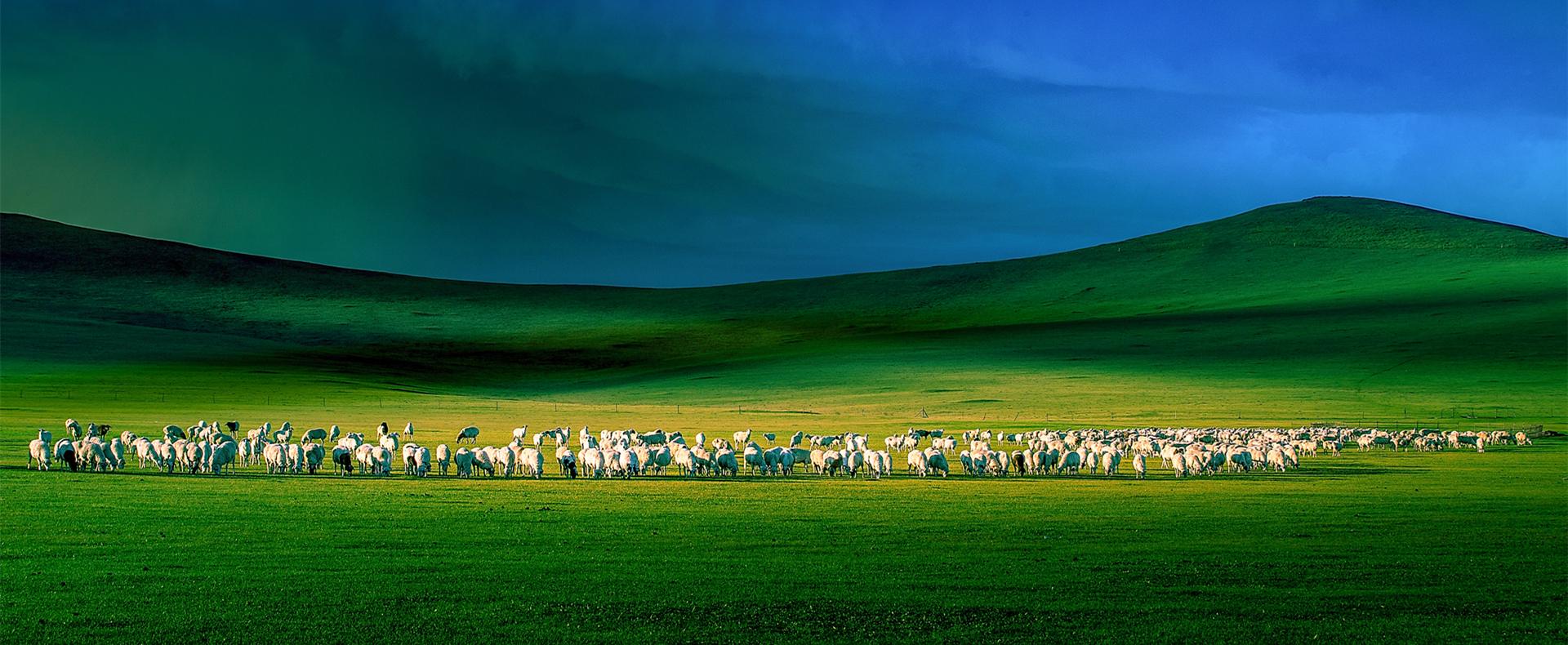 Inner Mongolia ramping up green efforts