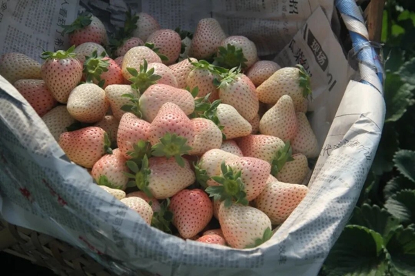 1769070478098032523.jpg 4dfc0b0cb2354af6a32cf39d9412b466.jpg