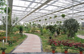 Aigret Garden Ecology Swamp Hall