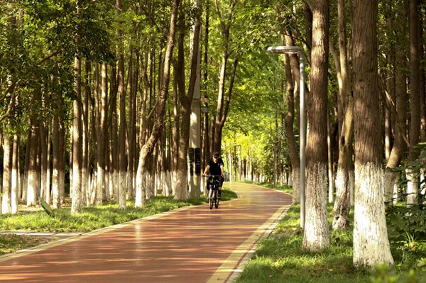 Taicang excels in providing public green spaces