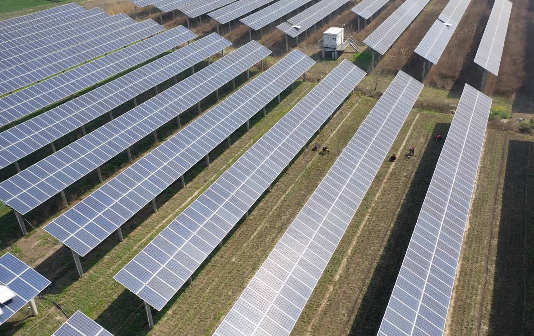 Lush leeks grow under solar power panels in Hailing district