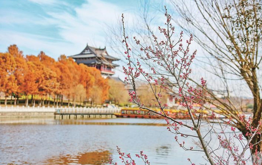 Plum blossoms enchant visitors to Taizhou's Hailing district