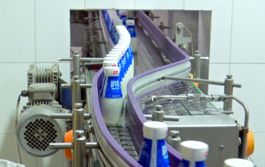 Taizhou Weigang Dairy Co Ltd thrives