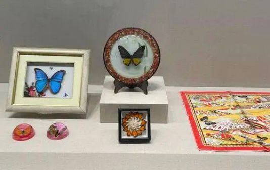 Butterfly exhibition launches in Taizhou city