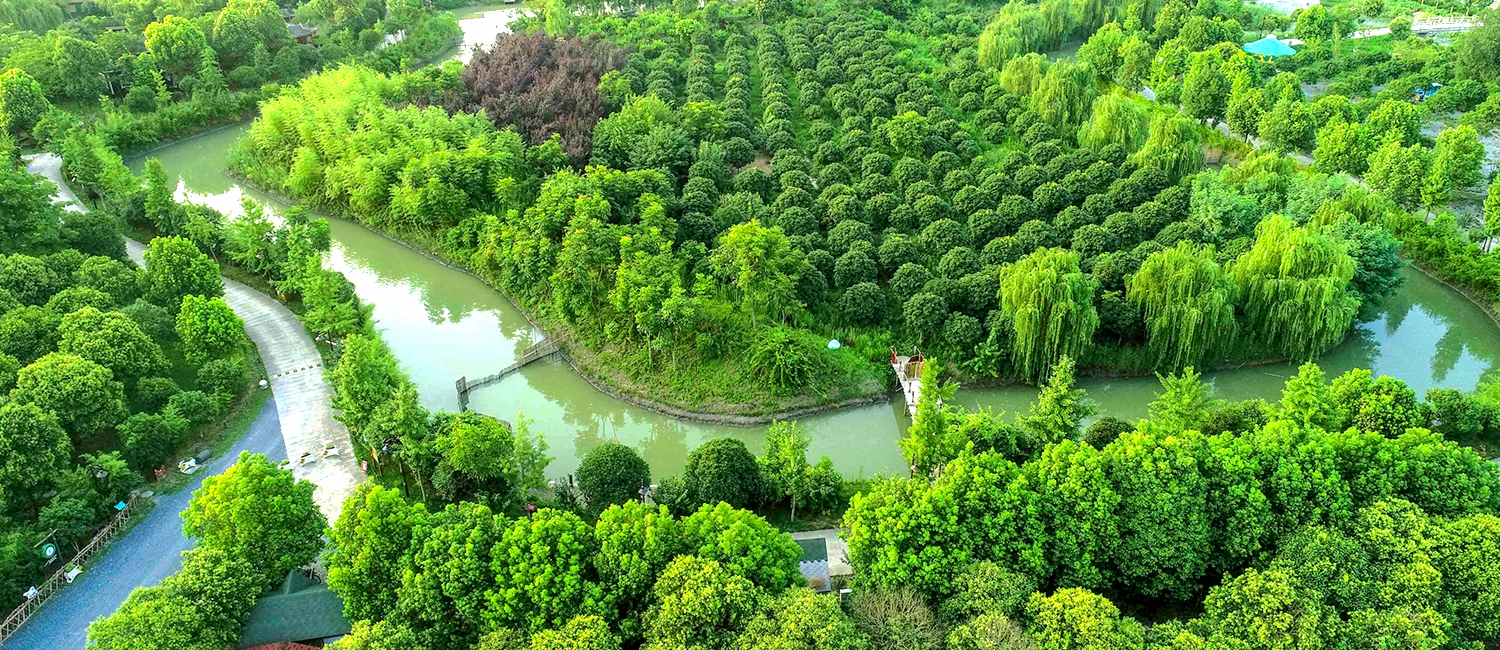 Qinhu River scenic area
