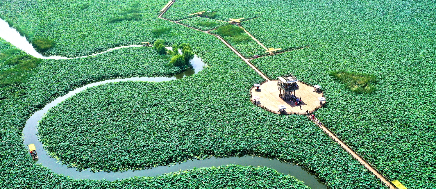 Taizhou drives high-quality development of agricultural industry