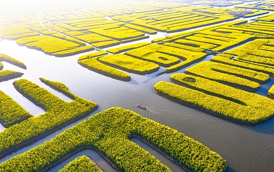 Xinghua tourism festival debuts with rapeseed spectacle