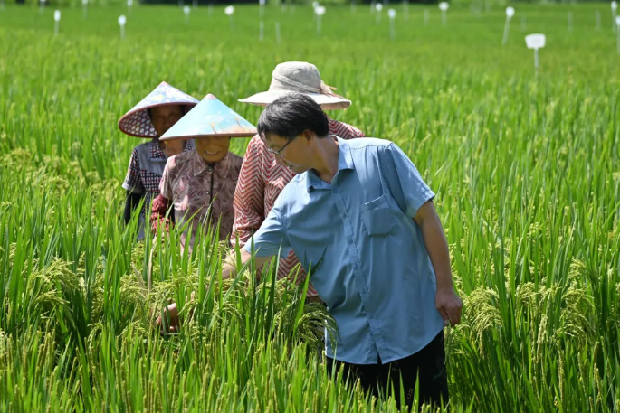 Training empowers Jiangyan farmers for the future 