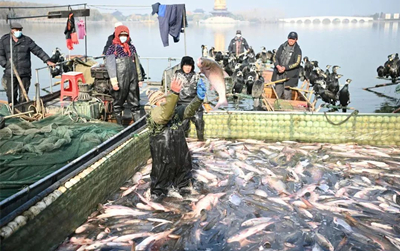 Fishing festival kicks off on banks of Qinhu River