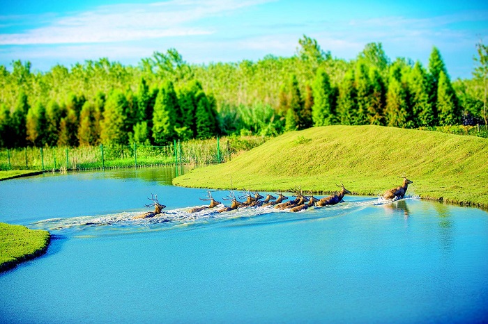 Qinhu Lake science museum celebrates National Ecology Day