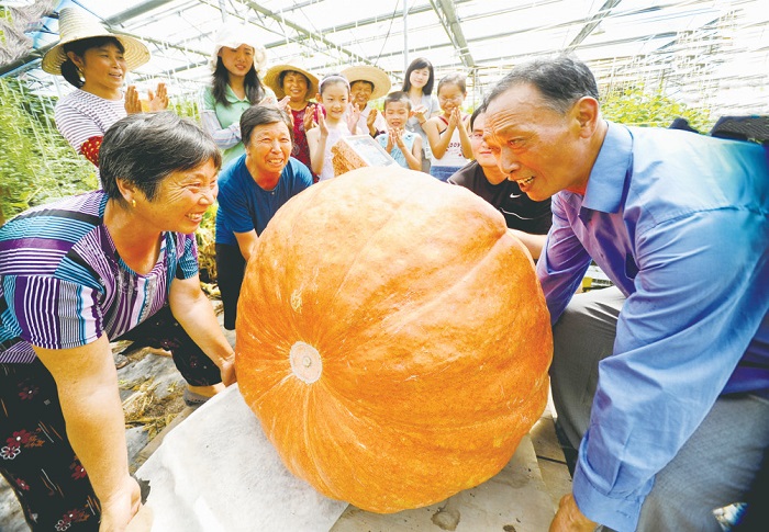 Jiangyan district embraces bountiful harvest season