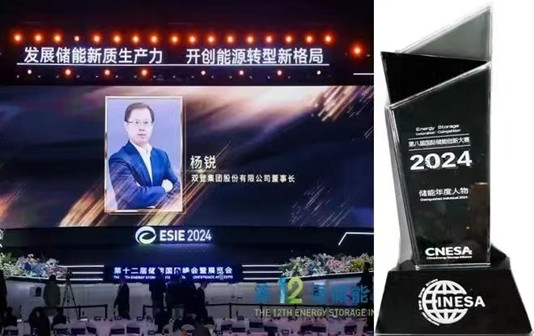 Shuangdeng Group boss named Energy Storage Person of Year