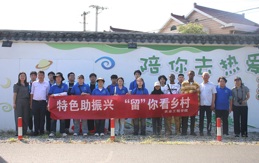 Expats view vitalization in Taizhou's Jiangmao village