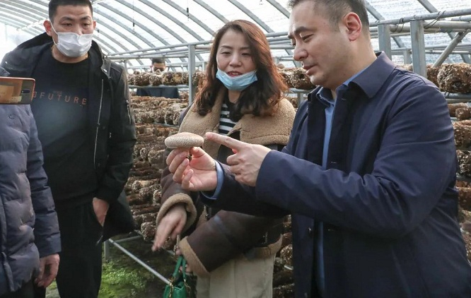 Sanshui Mushroom promoted to Nanjing enterprise