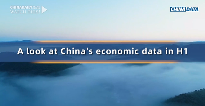 A look at China's economic data in H1 of 2024