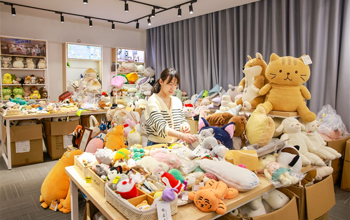 Jingjiang city toy manufacturer gains global popularity