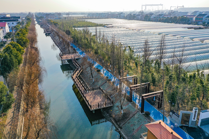 Jingjiang city acts to improve ecosystem