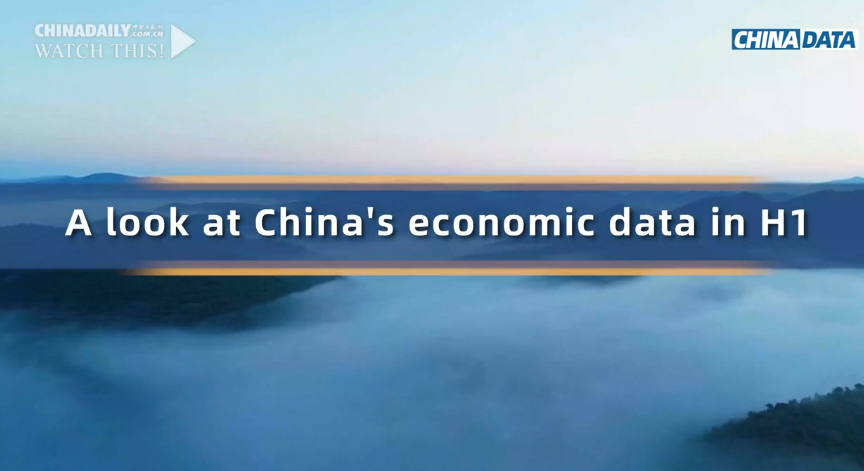 A look at China's economic data in H1 of 2024