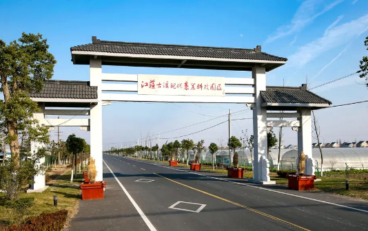 Taixing city moves to upgrade its rural roads