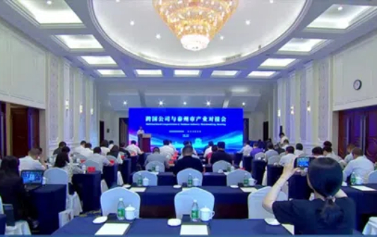 Taizhou city lobbies global corporations for investment