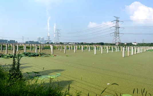Taixing installs integrated fish farm, solar power plant