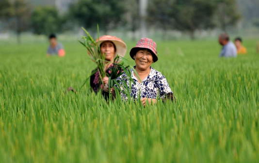 Financial matching activity held in Taixing's Binjiang town