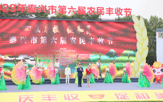 Fun activities mark harvest festival in Taixing sub-district