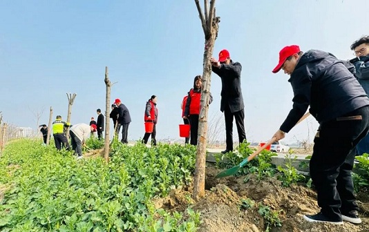 Taizhou Port EDZ celebrates Arbor Day with green initiatives