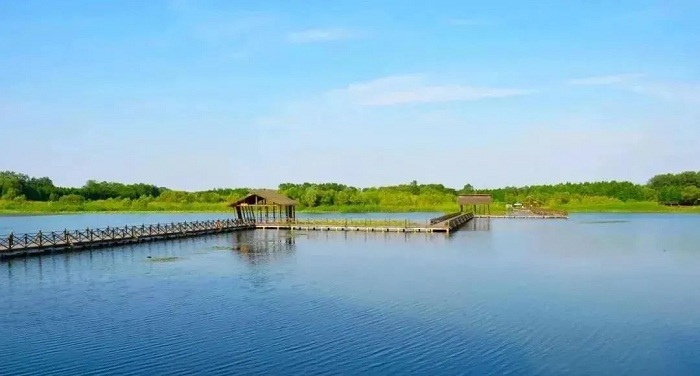 qinhu national wetland park.jpg