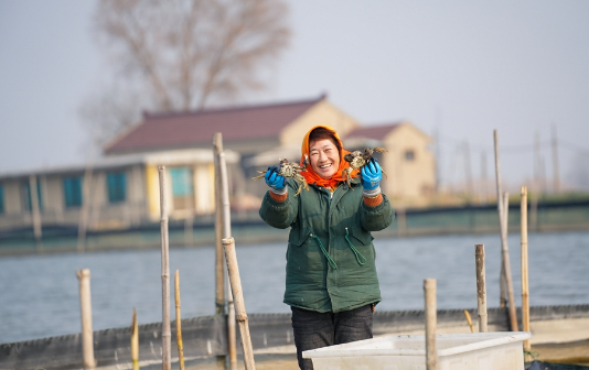 Winter: Busy time to catch crabs in Xinghua