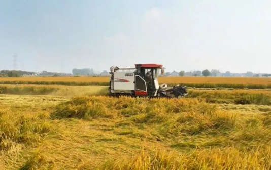 Xinghua city busy with rice harvesting, sowing work