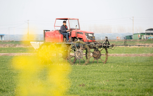 Wheat farmers in Xinghua city spray their fields 