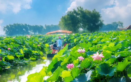 Go on an ecotourism adventure in Xinghua city