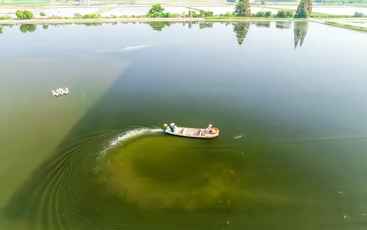 Xinghua city's Anfeng town expands river crab sector