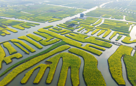 Xinghua irrigation and drainage system included in national tourism list