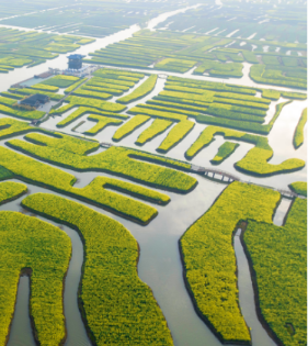 Xinghua irrigation and drainage system included in national tourism list
